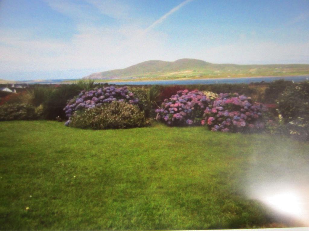 Ocean View B&B Cill Airne Esterno foto